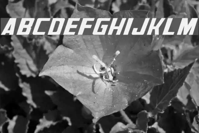 Generation Two Normal Font examples