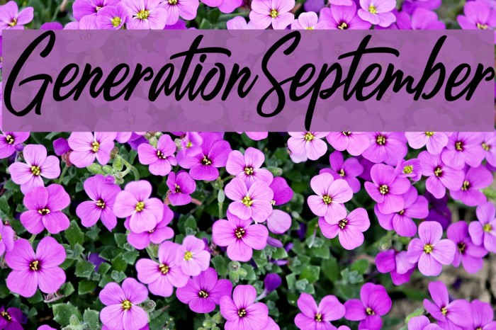 GenerationSeptember Font examples