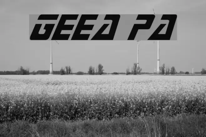 Generations Plain Fuentes examples