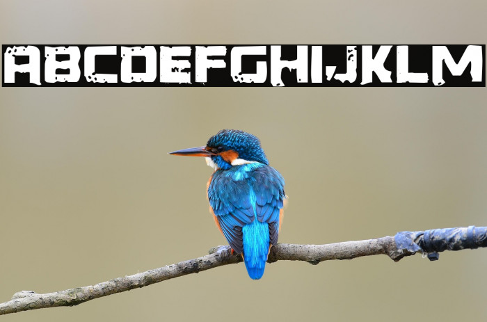 Generator REX Example 1