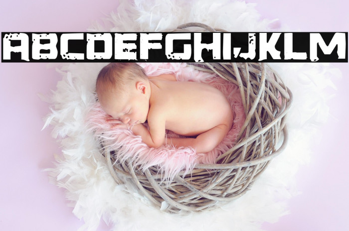 Generator REX Example 2