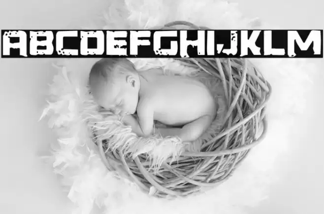 Generator REX Polices examples