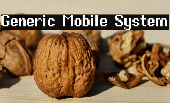 Generic Mobile System Example 2