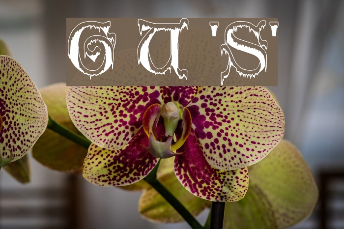 Generic Uncials 'Snowcapped' Font examples