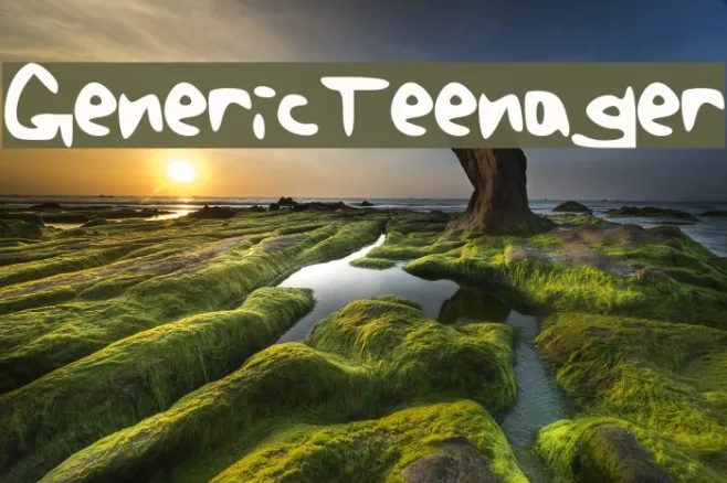 Generic_Teenager Example 1