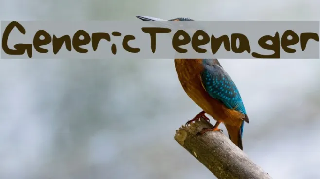 Generic_Teenager Example 2