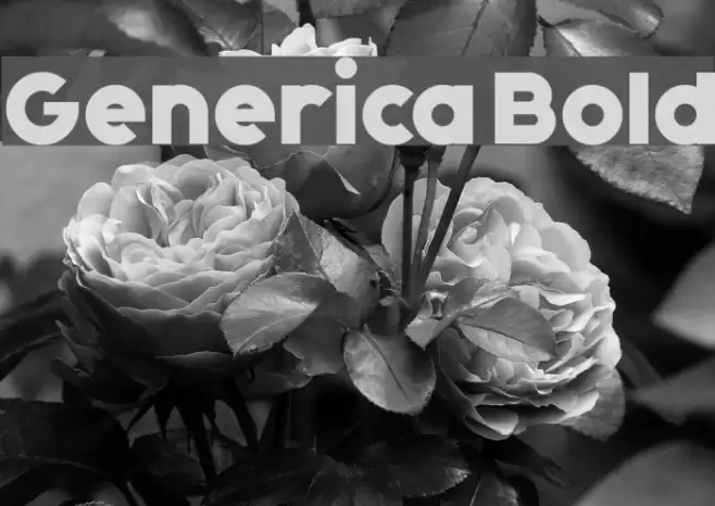 Generica Bold Font examples
