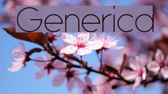 Generica Font examples
