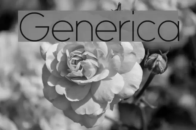 Generica フォント examples