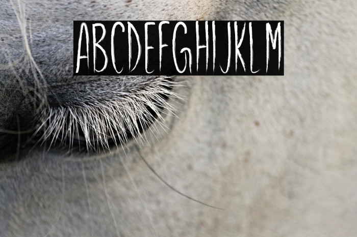 Generous Monarch Example 1