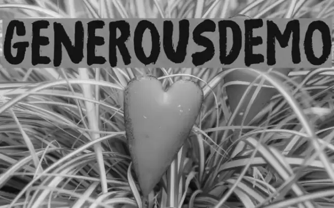 GenerousDEMO Font examples