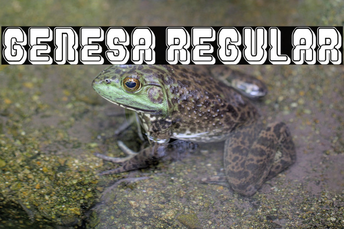 Genesa Regular Example 2