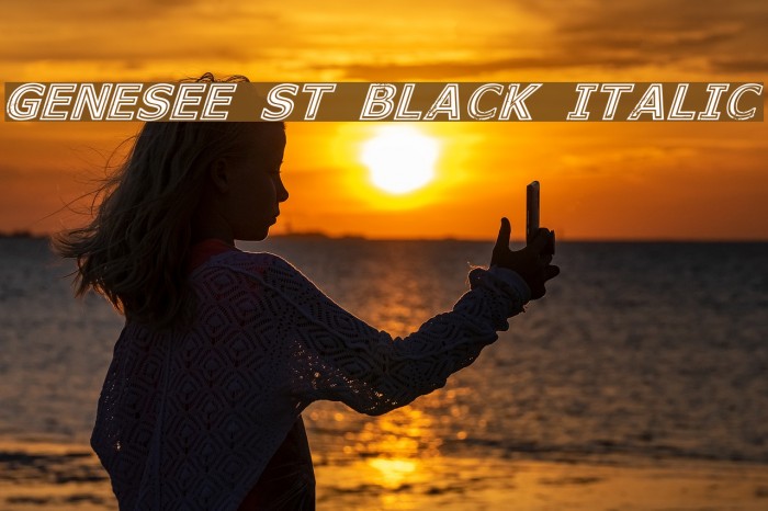 Genesee St Black Italic Example 1