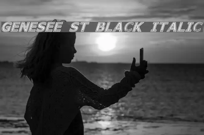 Genesee St Black Italic Font examples