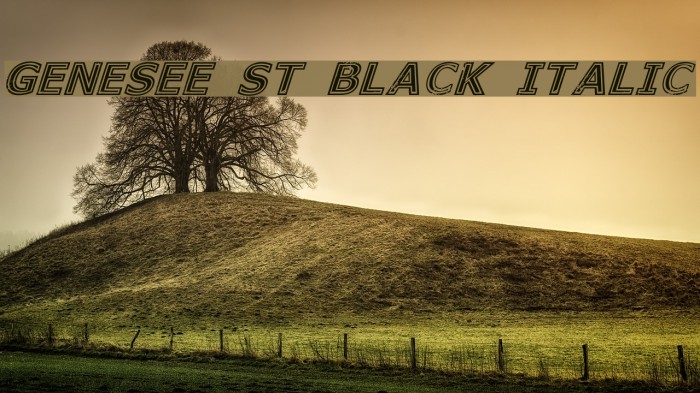 Genesee St Black Italic Example 2