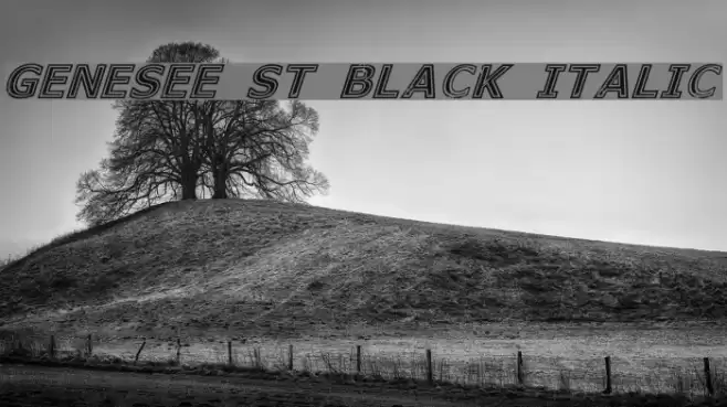 Genesee St Black Italic Font examples