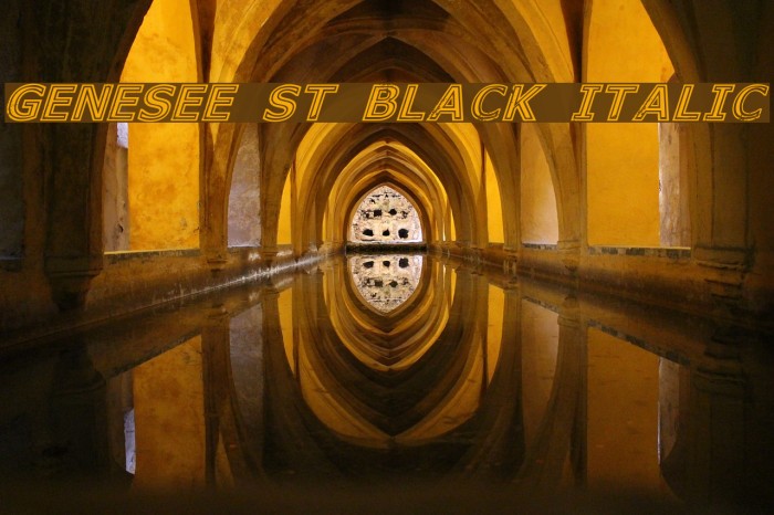 Genesee St Black Italic Example 3