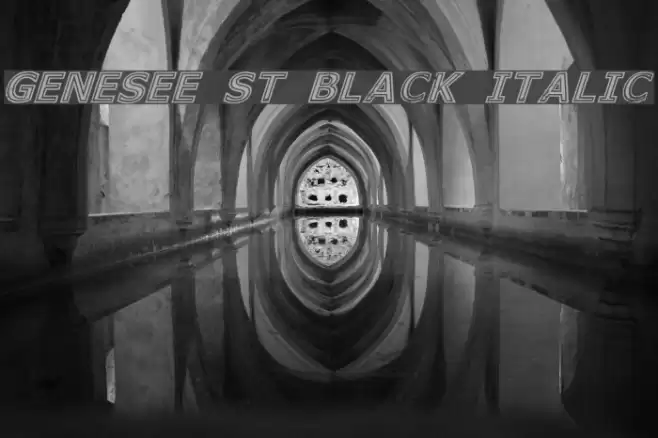 Genesee St Black Italic Font examples