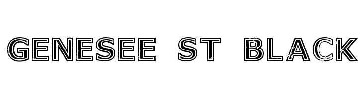 Genesee St Black  Free Fonts Download