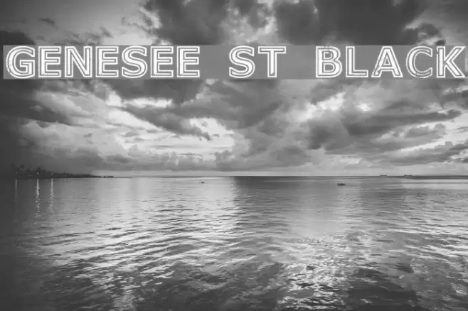 Genesee St Black Font examples