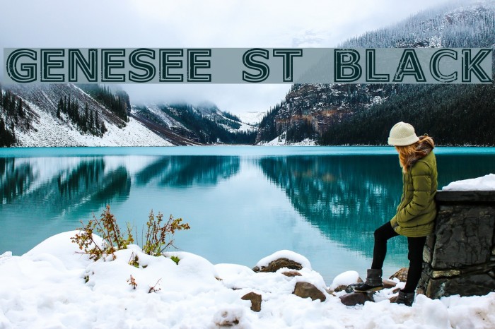 Genesee St Black Example 3