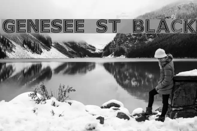 Genesee St Black Font examples