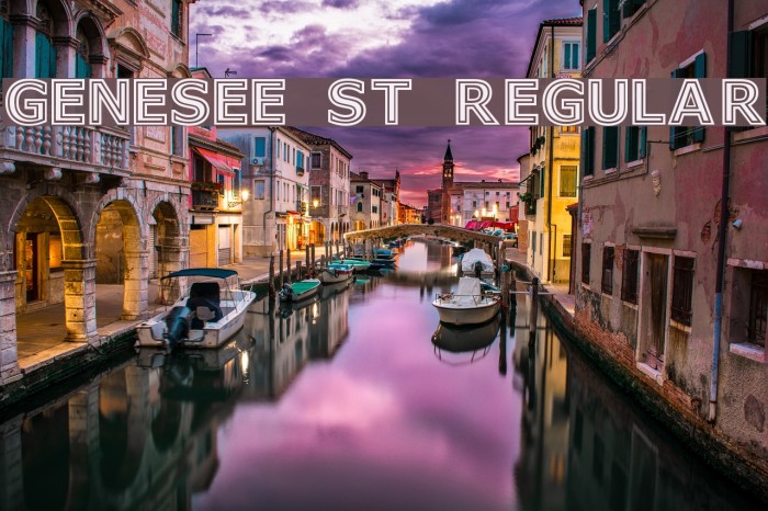 Genesee St Regular Font examples