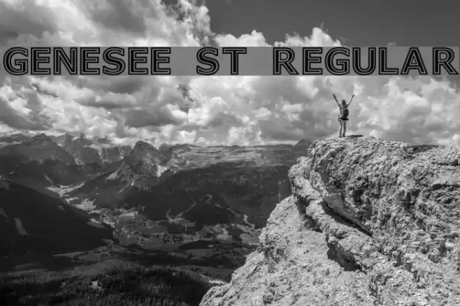 Genesee St Regular Font examples