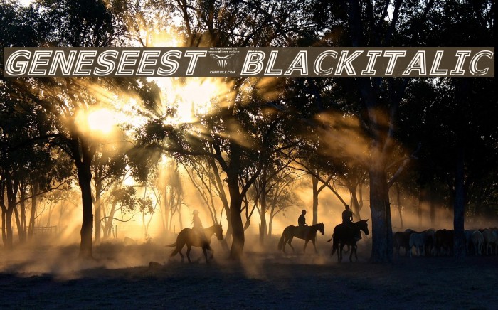 GeneseeSt-BlackItalic Example 1