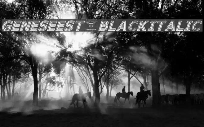 GeneseeSt-BlackItalic Font examples