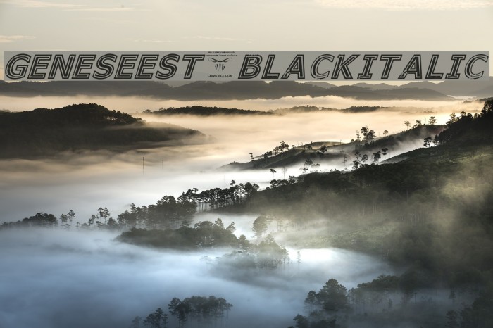 GeneseeSt-BlackItalic Example 3