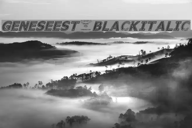 GeneseeSt-BlackItalic Font examples