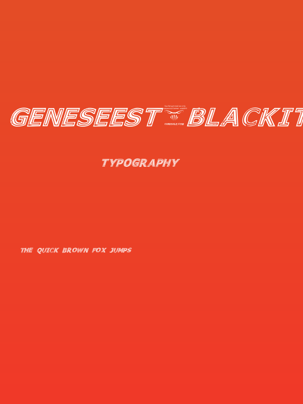 GeneseeSt-BlackItalic Poster