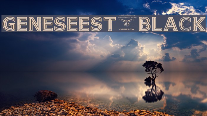 GeneseeSt-Black Example 1