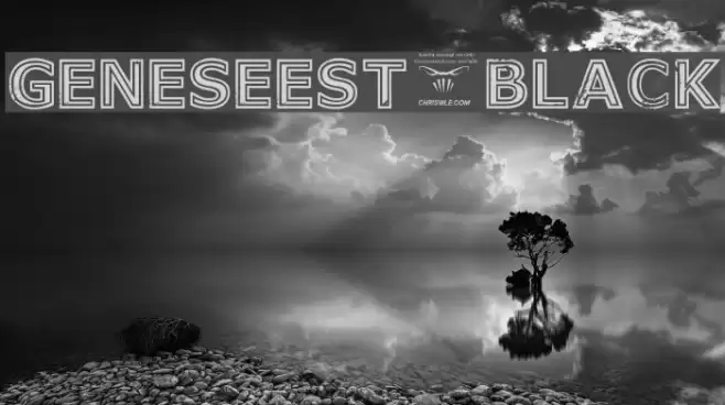 GeneseeSt-Black Font examples