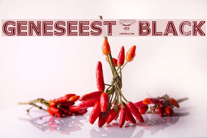 GeneseeSt-Black Example 2