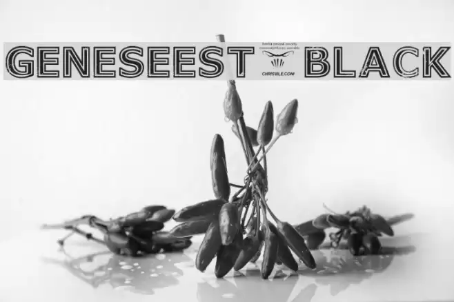 GeneseeSt-Black Font examples