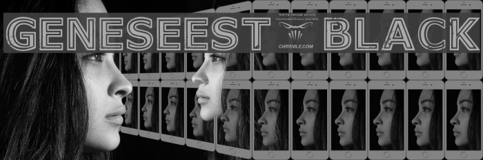 GeneseeSt-Black Example 3