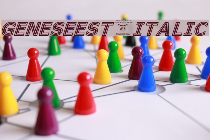 GeneseeSt-Italic Font examples