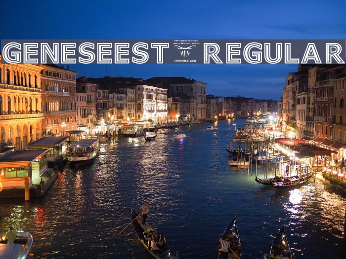 GeneseeSt-Regular Example 1