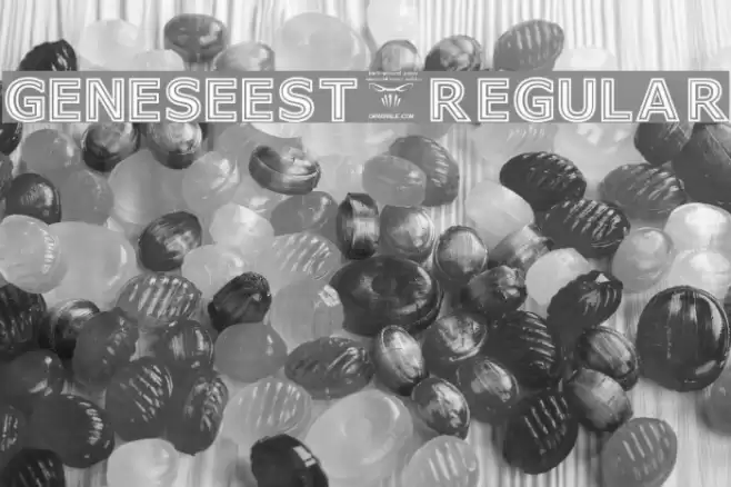 GeneseeSt-Regular Font examples