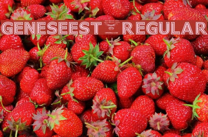 GeneseeSt-Regular Example 3