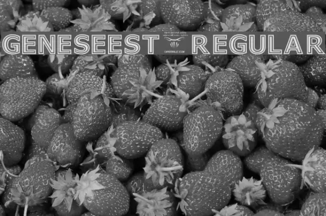 GeneseeSt-Regular Font examples