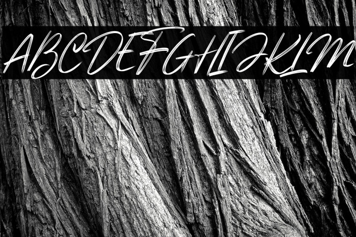 Genesiss Slant_DEMO Example 2