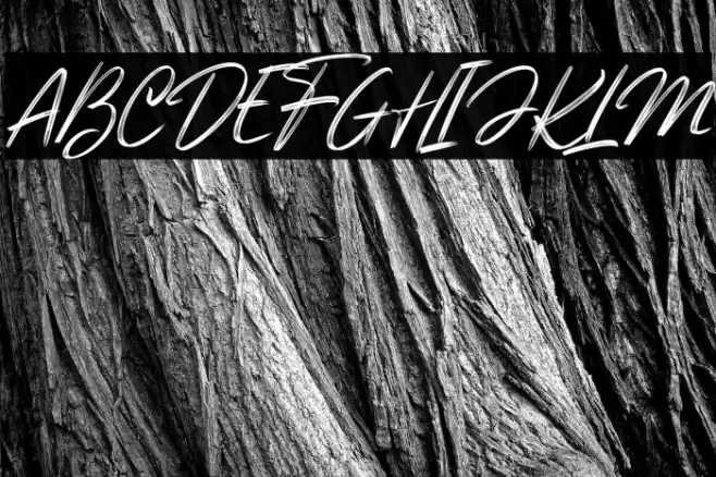 Genesiss Slant_DEMO Font examples