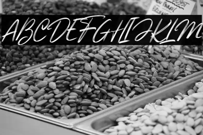 Genesiss Slant_DEMO Font examples