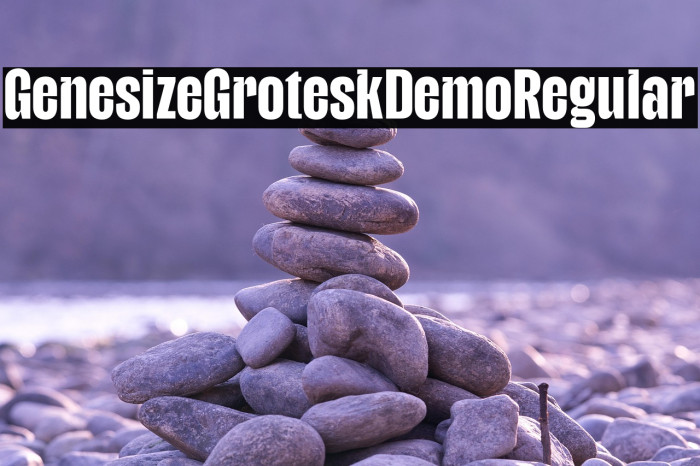 Genesize Grotesk Demo Regular Example 1