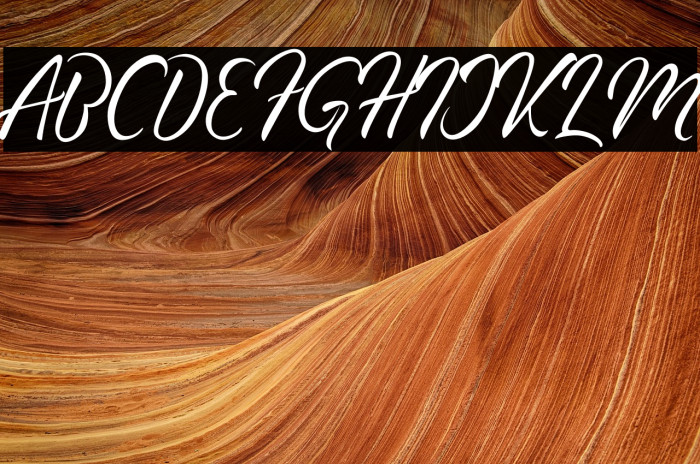 Geng Rimba Example 3