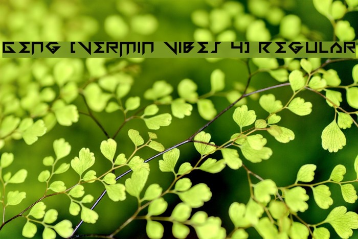 Geng [Vermin Vibes 4] Regular Example 1