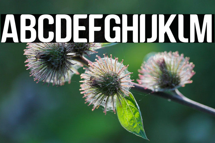 Genghis Khan >;C68@=K9 Example 2